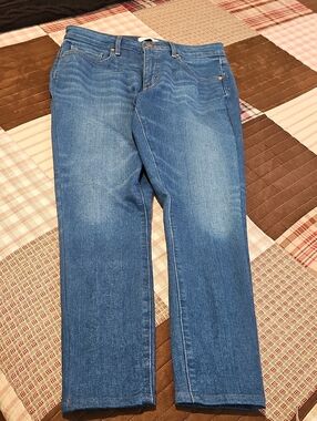 Loft Women's Blue Denim Jeans
